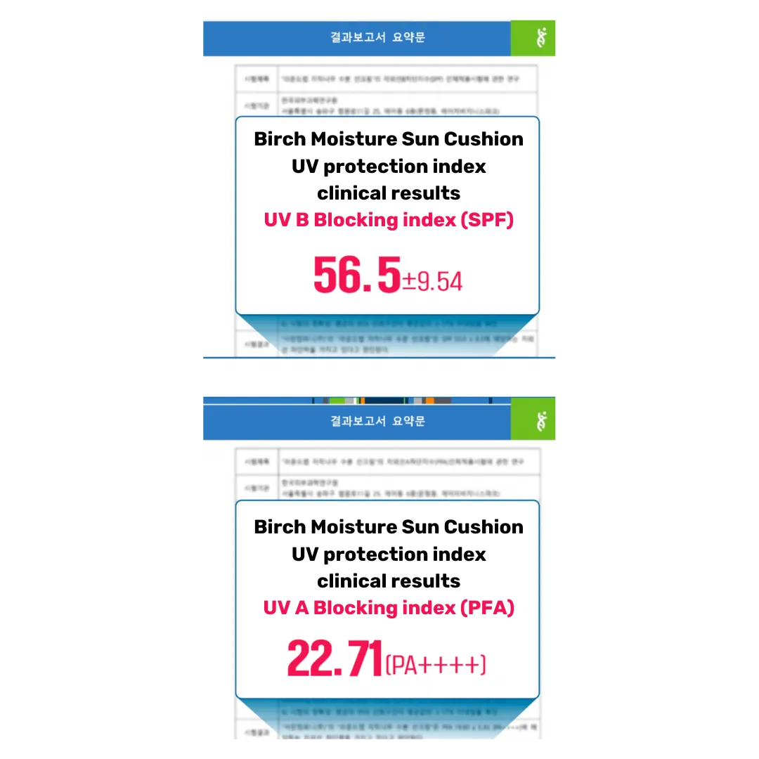 Birch Moisturizing Sun Cushion SPF 50 , PA    