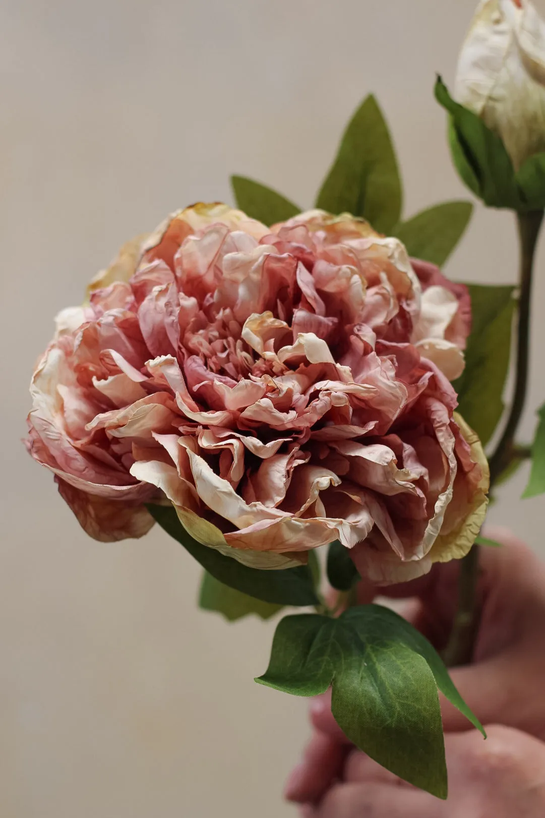 Faux Dried Blush Pink Peony Stem
