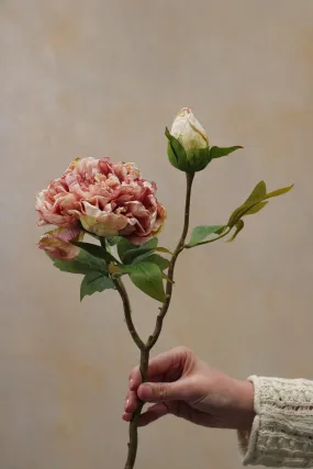 Faux Dried Blush Pink Peony Stem