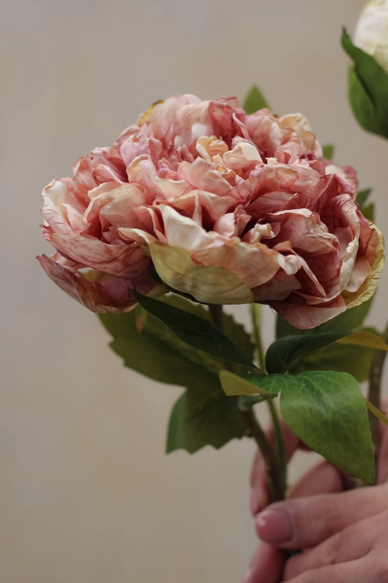 Faux Dried Blush Pink Peony Stem