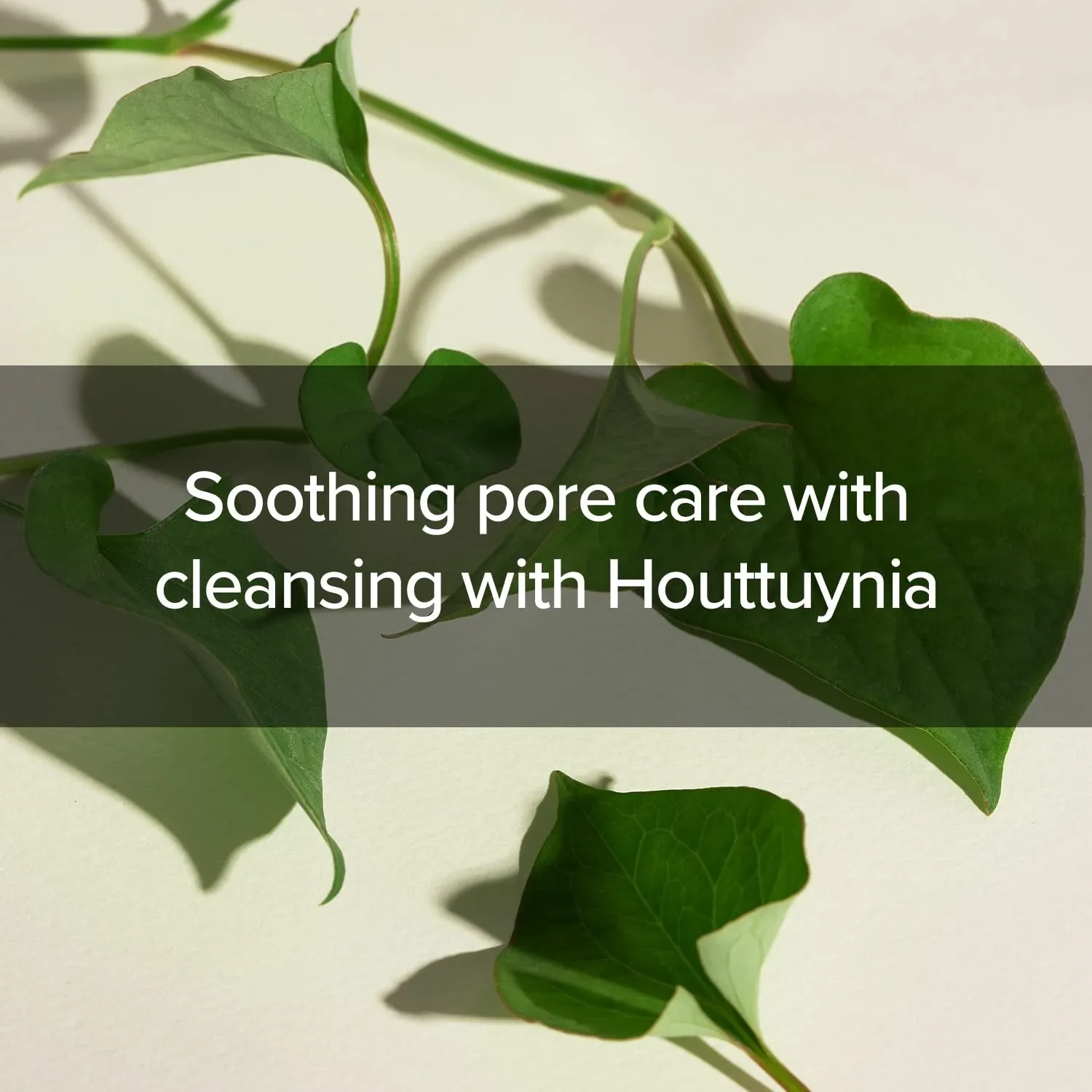 MARY & MAY Houttuynia Cordata   Tea Tree Cleansing Foam 150ml