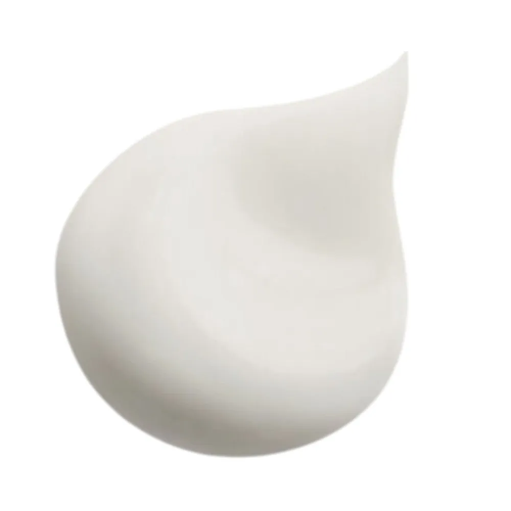 Sisley All Day All Year Cream 50ml